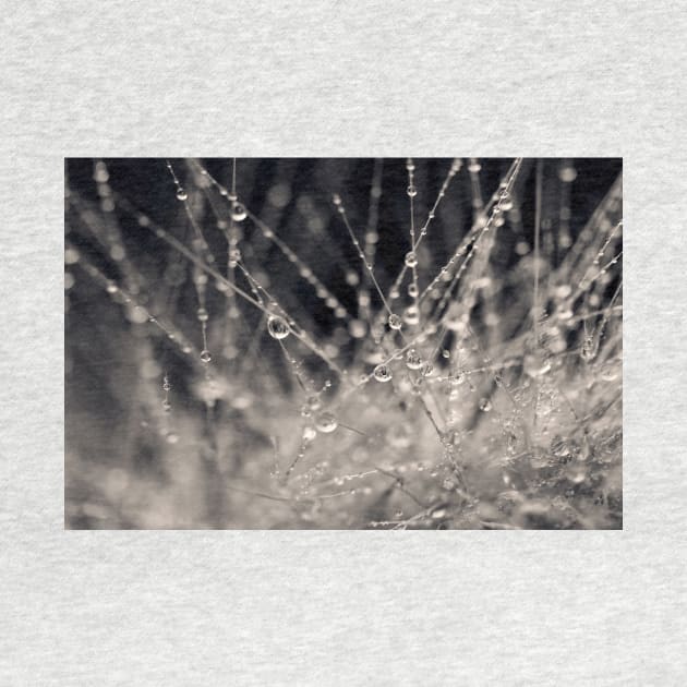 Wild Grass Abstract by micklyn